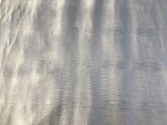 Spalla a vegetale colore nero stampa lucertola
