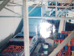 MACCHINA LAVORAZIONE AGRUMI