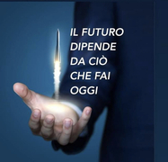Consulente in carriera
