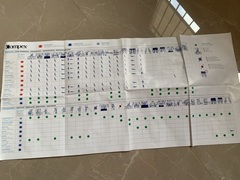 Elettrostimolatore