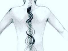 Massaggio professionale terapeutico