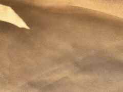 Pelle camoscio colore Camel