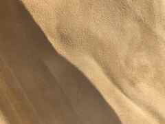 Pelle camoscio colore Camel