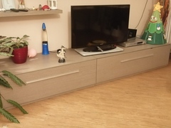 Mobile tv