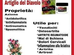 Collaboratori