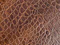 Pelle di vitello Marrone stampata Cocco – CB5