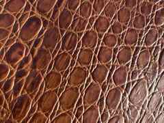 Pelle di vitello Marrone stampata Cocco – CB6