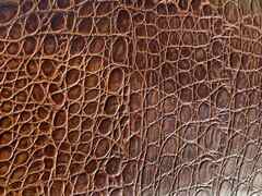 Scampolo pelle stampata Cocco Marrone – CB7