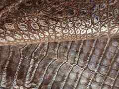 Scampolo pelle Cocco Marrone effetto vintage – YR7