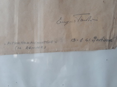disegno a matita il renino artista Eugenio Pardini