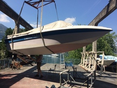Freccia Bianca 21