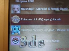 Nintendo ds