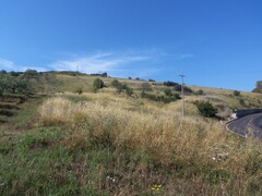 COD 0161 Terreno agricolo 10000 mq