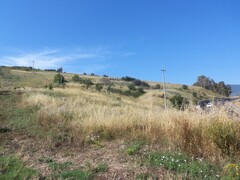 COD 0161 Terreno agricolo 10000 mq