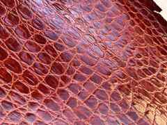 Scampolo pelle stampata Cocco brandy – CB2