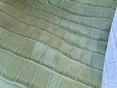 Scampoli pelle stampata Cocco Verde – CB3