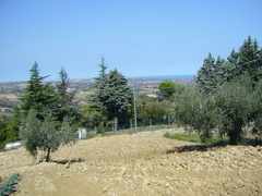 Terreno edificabile vista mare