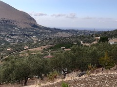 COD 0209 Terreno 5000 mq C/da Porcara