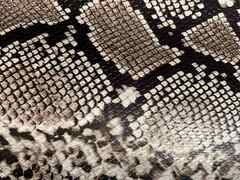 Pelle di vitello stampata pitone naturale – PS4