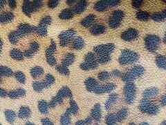 Pelle di vitello effetto leopardo – AT6