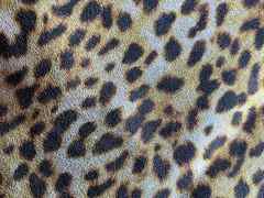 Pelle di vitello effetto leopardo – AT5