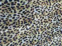Pelle di vitello effetto leopardo – AT5