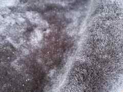 Scampoli pelle di shearling per Artigianato