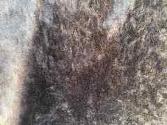 Pelle di shearling colore Marrone