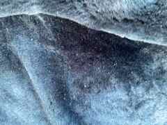 Pelle di shearling colore verde smeraldo