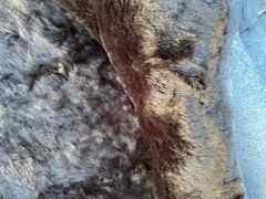 Pelle di shearling colore nero