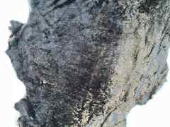 Pelle di shearling colore nero