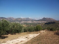 COD 0225 Terreno 5000 mq Misilmeri