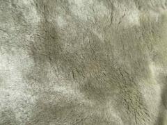 Pelle di shearling verde acqua