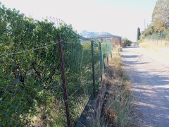 COD Terreno 4000 mq Misilmeri