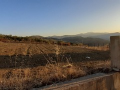 COD 0242 Terreno 3900 mq