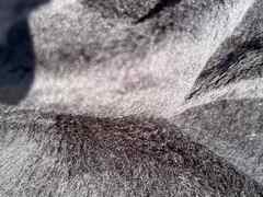 Tessuto eco pelliccia nero per Artigianato