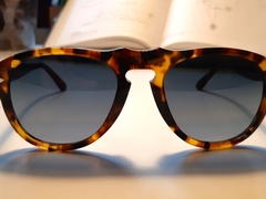 Persol 649 madreterra polarizzati