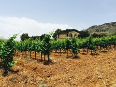 VILLA PIANETTO