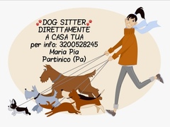 Dog sitter