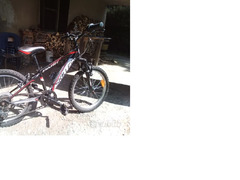 Bici Bambino 20 pollici