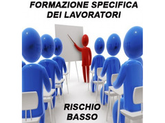 FORMAZIONE SPECIFICA DEI LAVORATORI