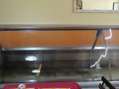 Banco Frigo Esposizione