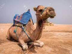 benvenuto in Marocco