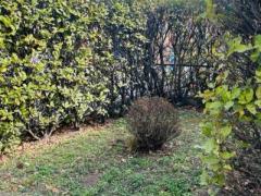 baveno feriolo appartamento indipendente con giardino