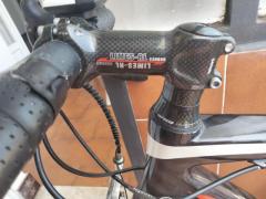 Bici da corsa Whistle in fibra di carbonio