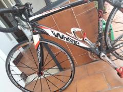 Bici da corsa Whistle in fibra di carbonio