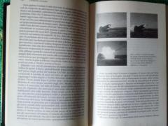 Cavalleria corrazzata Tom Clancy.