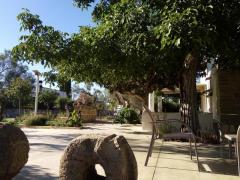 salento vacanza di relax in campagna vicino Gallipoli