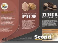LOGHI, MANIFESTI, BROCHURE, BIGLIETTI DA VISITA, POST / STORIE ETC.