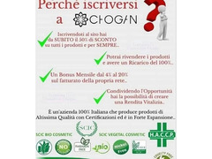 consulenti chogan